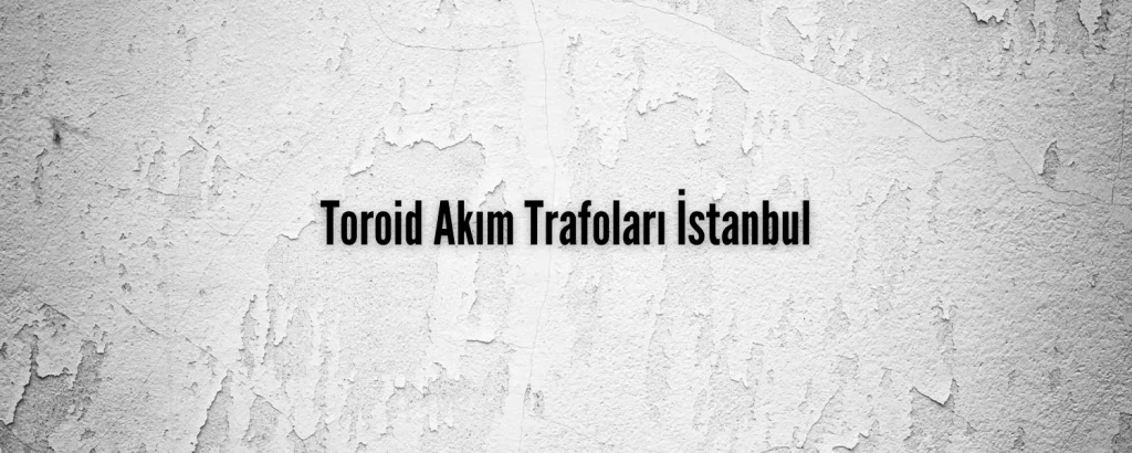 Toroid Akım Trafoları İstanbul