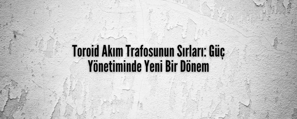 Toroid Akım Trafosu